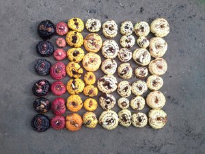 Консервация луковиц гладиолусов