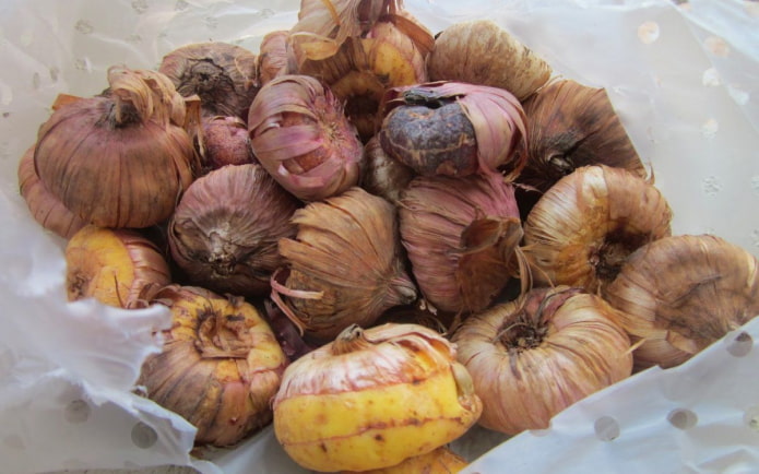 Лампочки в упаковке