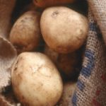 Картофель польский