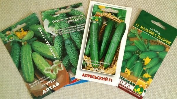 Пакеты с семенами огурца