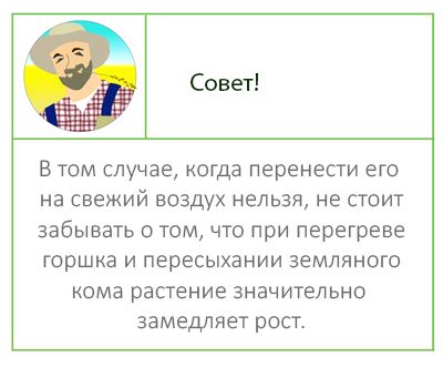 Советы по освещению