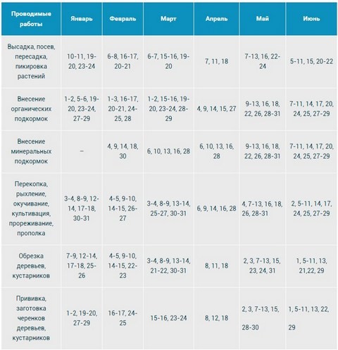 стол для ухода за растениями