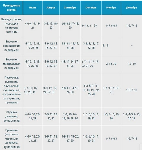 стол для ухода за растениями