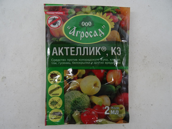 Меры борьбы и профилактики