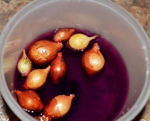 Маринование посадки лука в марганцевом растворе