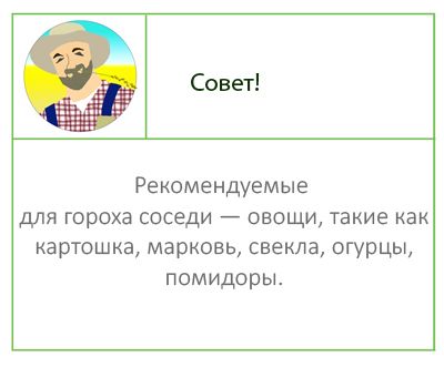 Лучшие соседи по гороху