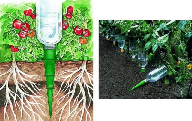 Как сделать капельный полив корней из пластиковых бутылок своими руками