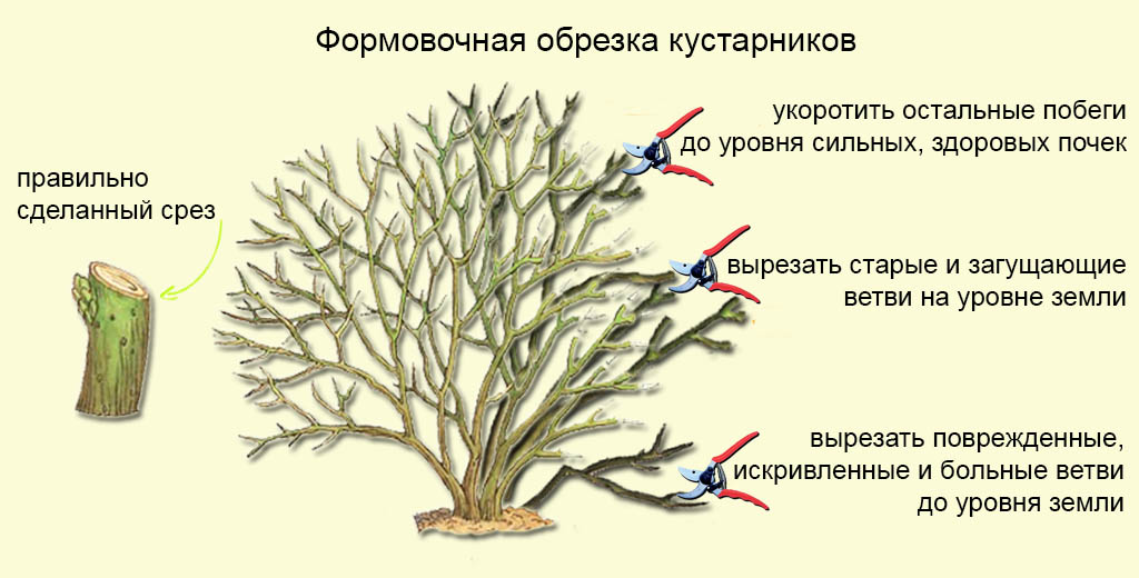обрезной молдинг
