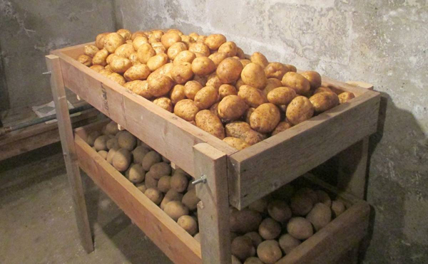 Как хранить картошку зимой