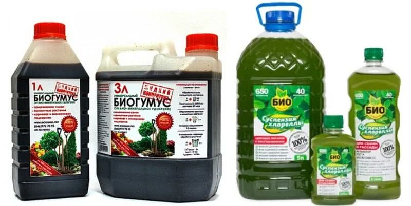 суспензия биогумуса и хлореллы