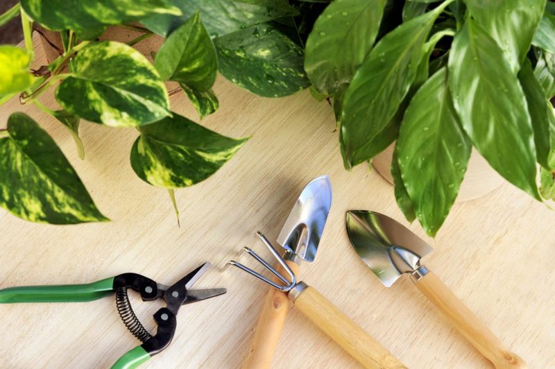 Какую работу делать
