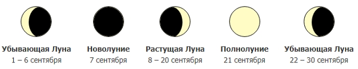 Когда и что сеять в 2021 году - лунный календарь посевов