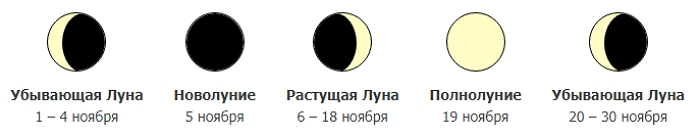 Когда и что сеять в 2021 году - лунный календарь посевов