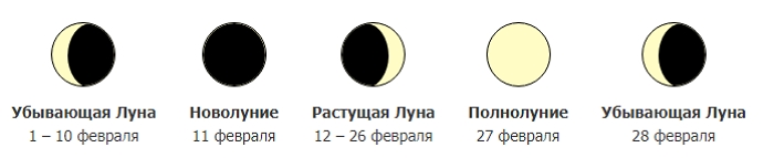 Когда и что сеять в 2021 году - лунный календарь посевов
