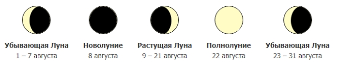 Когда и что сеять в 2021 году - лунный календарь посевов