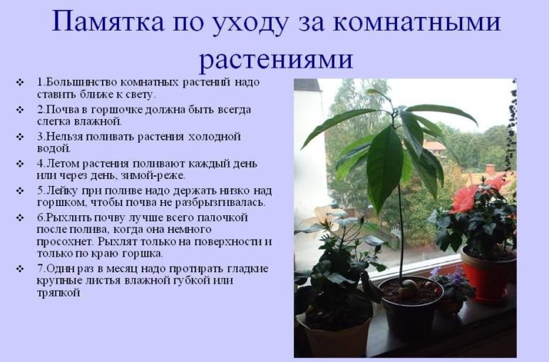 простые правила ухода