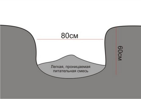 посадочная яма