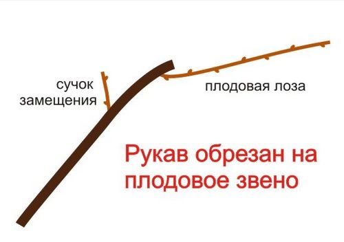вырезать рукав