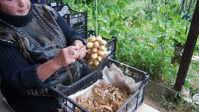 Пошаговая инструкция: как вплести бантик в косички для хранения